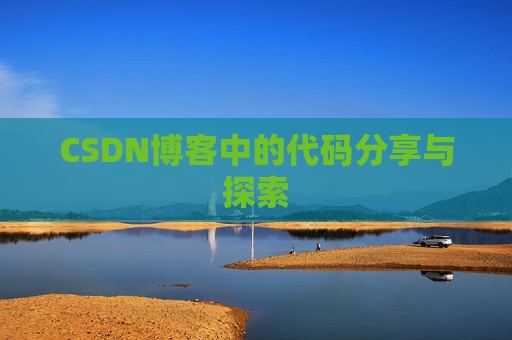 CSDN博客中的代码分享与探索